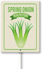 Eveokoki Aluminum Seed & Plant Labels - Plant Markes for Seedlings-Plant Tags for Pots - Garden Signs for Vegetable - Durable Markers for Plants Outdoor Waterproof - Garden Decor for Farmhouse