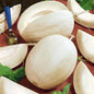 Melon Seeds for Planting (10 Seeds) - Grow Your Own Food (White Sakatas)