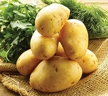 Simply Seed™ - 3 LB - German Butterball Potato Seed - Non GMO - Naturally Grown - Order Now For Planting - Real Potatoes