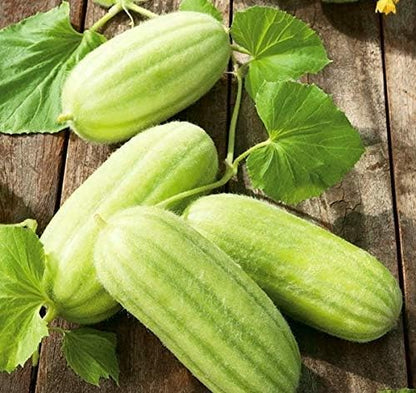 Seeds Vegetable Cucamelon (Cross Cucumber and Melon) Vine - 20 Seeds