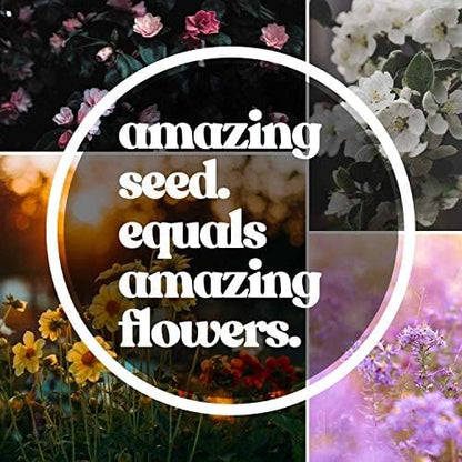 All Annual Wildflower Mix Seed for Planting - 1 Lb ~16,000+ Seeds - 21 Varieties Including California Poppy, Indian Blanket, Scarlet Flax, & More - Attracts Pollinators - Bulk Wildflower Seeds
