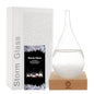 Storm Glass Weather Predictor,Christmas Snow Globe Storm Glass Barometer Weather Predictor, Home and Office Decorative Glass Bottles, Christmas Unique Gifts for Her
