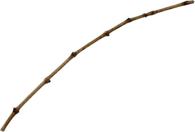 Grape Vine Cutting Merlot Clone 1 (100)