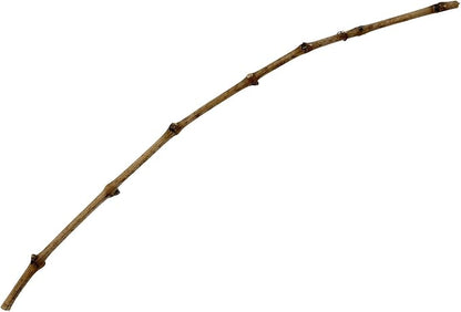 Grape Vine Cutting Merlot Clone 1 (100)