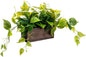MyGift Vibrant Lifelike Artificial Plant Pothos Leafy Vine Greenery in Burnt Brown Solid Wood Rectangular Planter Box