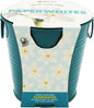 BUZZY Seeds Holiday Paperwhites Grow Kit, Complete with Bulbs, Teal Pail, Growing Medium, and Easy-to-Follow Instructions, Windowsill Gardening, Holiday Decor, Seasonal Gift for Home or Office