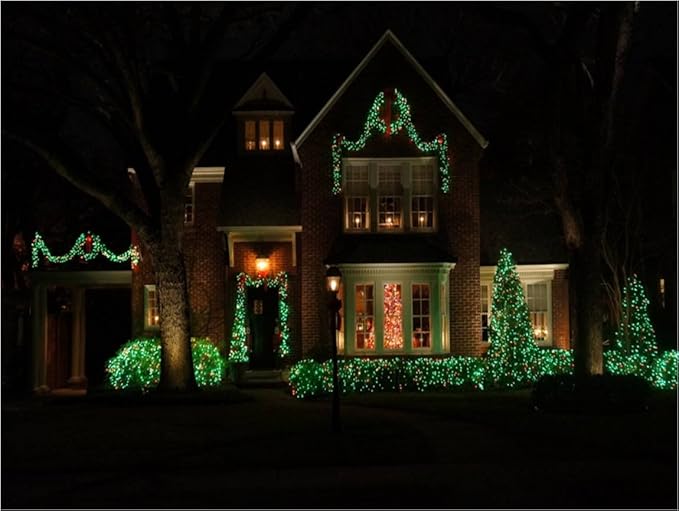 Holiday Essence - 100 Green Christmas Light Set String Lights with Green Wire Professional Grade Indoor and Outdoor Use Decorate Christmas Trees Bushes Fences Garden Party Patio Decor