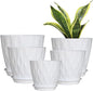 Plastic Plant Pots with Drainage Holes and Saucers, 8/7/6/5/4 Inches Garden Plant Flower Pots for Indoor Planter, 5 Pack Nursery Planting Pot for Indoor & Outdoor House Plants (White, 8/7/6/5/4)