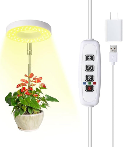 Halo Ring Grow Lights for Small Indoor Plants, Warm+White 48LEDs Full Spectrum Plant Light, Height Adjustable with 5V 2A Adapter, 3/9/12H Timer, 3 Spectral Modes, 10 Dimmable Levels, Angel Ring 1 Pack
