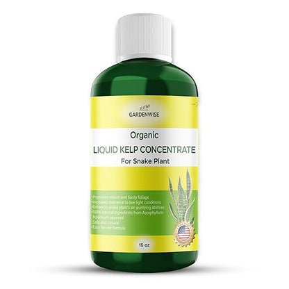 Organic Seaweed Kelp Liquid Fertilizer for Sansevieria - Snake Plant Food (16 OZ)