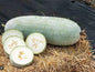 Melon Seeds for Planting (10 Seeds) - Grow Your Own Food (Wax Melon)