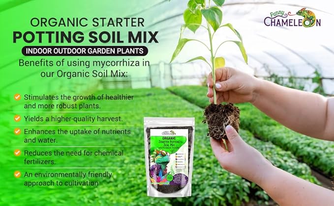 Organic Seed Starter Soil – Seed Starting Mix with Mycorrhizal Fungi – Natural Root Stimulator – Potting Soil for Vegetables and Herbs (3 QUARTS)