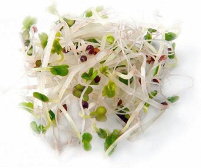 Non-GMO Broccoli Seeds for Sprouting Sprouts Microgreens (8oz of Pure Seed (40000+Seeds)). Country Creek LLC. Brand.