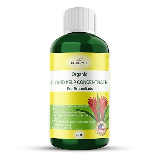 Organic Premium Kelp Seaweed Fertilizer - Bromeliad Fertilizer - Liquid Plant Food, Bromeliad Potting Mix Enhancer - Ideal for Bromeliad Plant & Live Plant Care (32 OZ)