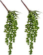 HUIANER Artificial Succulent Plants, 13.4" Fake Hanging String of Pearls Simulation Greenery Plants for Christmas Wall Home Kitchen Office Garden Wedding Decor, Pack of 2