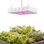 2026 Upgraded 1000W(HPS) Equivalent LED Grow Light, Full Spectrum for Indoor Seedling & Bloom, Dimmable Plant Light with Auto 24H Timer, High PPFD Energy Saving Solution.
