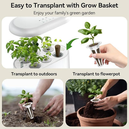 inbloom Asian Herb Seed Pod Kit for AeroGarden, iDoo, Ahopegarden, 7 Pods with 350+ Seeds (Basil, Parsley, Cilantro, Chrysanthemum, Pak Choi, Crystalline Ice Plant, Onion) Hydroponics Growing System