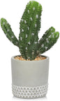 DILATATA 13' Small Fake Cactus Plant Potted 'San Pedro Cactus' Faux Cacti for Home Garden Office Decor Housewarming Gifts