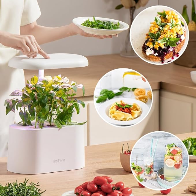 inbloom Asian Herb Seed Pod Kit for AeroGarden, iDoo, Ahopegarden, 7 Pods with 350+ Seeds (Basil, Parsley, Cilantro, Chrysanthemum, Pak Choi, Crystalline Ice Plant, Onion) Hydroponics Growing System