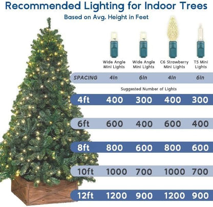 Novelty Lights 50ft 100 LED Sun Warm White Christmas Lights Outdoor/Indoor, 6" Spacing, Green Wire String Lights for Festive Xmas Lighting, IP55, UL Listed, Dimmable, Connectable