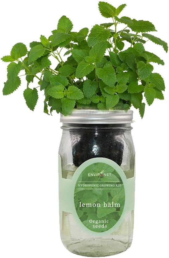 Hydroponic Herb Growing Kit, Self-Watering Mason Jar Herb Garden Starter Kit Indoor, Windowsill Herbs Garden, Grow Your Own Herbs from Organic Seeds (Lemon Balm)