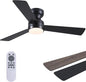Asyko Ceiling Fans with Lights,46" Low Profile Ceiling Fan with Light and Remote Control,Flush Mount, Reversible, Dimmable, Noiseless, Black Ceiling Fan for Bedroom