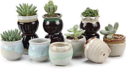 T4U Small Ceramic Succulent Pots with Drainage - Set of 12, Mini Pots for Plants, Home and Office Decor, Plant Lover Gifts for Women