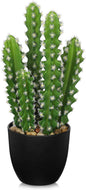 Artificial Cactus Plants 10.8" Small Faux Cactus Plants Indoor Fake Desert Cacti Succulents Plants Artificial Plant Indoor with Pot Cactus Decorations for Home Decor Office Desk Tabletop Shelf