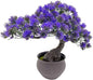 Artificial Plants Fake Bonsai Juniper Tree Potted Faux Japanese Cedar Bonsai Simulation Zen Garden Fake Plant Artificial Bonsai Tree for Greenery Office Home Décor Indoor Desktop Display