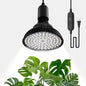 Hanging Grow Lights for Indoor Plants, 25W 5000K, LED Hanging Grow Light Bulbs with Timer, Height Adjustable Hanging Plant Light, Full Spectrum Pendant Grow Light for Seed Starting, Black