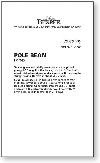 Burpee Fortex Pole Bean Seeds 2 ounces of seed