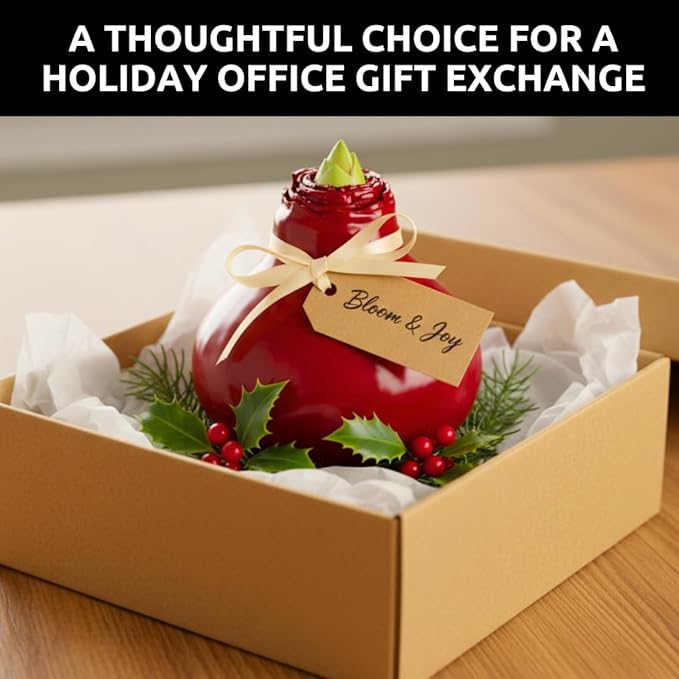 Red Waxed Amaryllis Bulb for Growing Indoors – No Watering or Soil Needed - Live Holiday Gift Plant - Easy Care - Christmas Office Gift Exchange Idea - Favorite Things Party