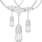 Satco S8038 LED Indoor/Outdoor String Lights, White, S14 Bulbs, 24 Feet (Pack of 1)