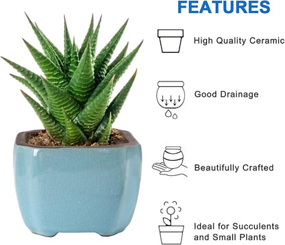 Bonsai Planter Mini Glazed Pots Succulent Value Set of 4, with 4 Soft Mesh Drainage Screens