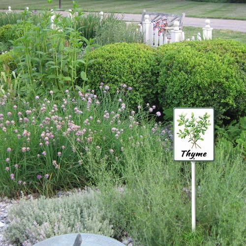 FemiaD Plant Label Signs Planted Herb Garden Markers Waterproof Aluminum Plant Stake Tags Thyme Sign for Nursery Indoor Outdoor Garden Decoration 8x12inch
