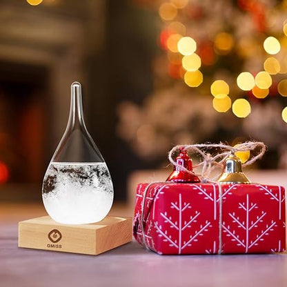Storm Glass Weather Predictor,Christmas Snow Globe Storm Glass Barometer Weather Predictor, Home and Office Decorative Glass Bottles, Christmas Unique Gifts for Her