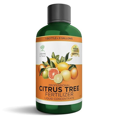 Leaves and Soul Professional Citrus Tree Fertilizer Liquid Concentrate - 6-4-6 Blend for Fruit Tree Fertilizer, Garden - Liquid Plant Food for Citrus Trees in Pots or Outdoors - 8oz