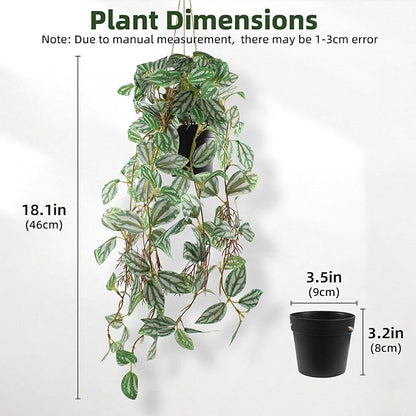 Artificial Hanging Ivy Plants Realistic 3D Watermelon Texture Fake Peperomia Leaves Faux Potting Vine Green Plants for Indoor Outdoor Home Garden Decor