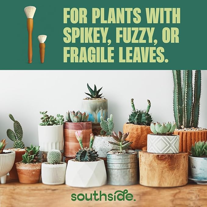 Southside Plant Cactus & Succulent Plants Cleaning Brushes - Wooden Handles w/Soft Goat Hair Bristles - Garden Cleaning Tools, Gentle on Plants, 7" & 3.2" Sizes - Pack of 2