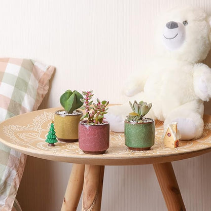 T4U 2.5 Inch Small Ceramic Succulent Planter Pot with Drainage Hole Set of 12, Ice Crack Glaze Plant Container for Cactus, Plant Lover Gifts for Women Mom Coworker Home Office Decor