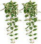 DILATATA Fake Hanging Plants Artificial Hanging Plants 26" Faux Peperomia Hanging Leaves Plants for Wall Shelf Home Indoor Outdoor Decor - 2 Pack