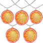 Fruit String Lights Battery Powered Indoor Outdoor Lighting Lamp Strawberry/Grape/Watermelon/Lemon/Banana for Wedding Home Birthday Garden Yard Patio Party Decorations (Orange Lemon)