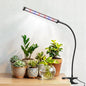 LED Grow Light, 5700K Full Spectrum Clip Plant Growing Lamp with Red Blue White LEDs for Indoor Plants, 5-Levels Dimmable, Auto On Off Timing 4/8/12/18Hrs(Single Head)