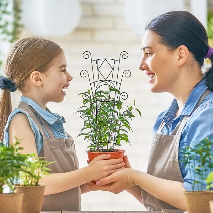 Stackable Plant Support Stakes, 2 Pack Metal Twig Plants Trellis for Indoor and Outdoor Use, Garden Accessories for House Potted Flower Monstera Trumpets 15.35 inch