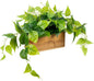 MyGift Vibrant Lifelike Artificial Plant Pothos Leafy Vine Greenery in Natural Solid Acacia Wood Rectangular Planter Box