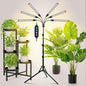 54 Watt Grow Lights for Indoor Plants with Stand, Standing Tall Plant Light, 4,8,12,16,20H Timer, Full Spectrum Bonsai Tree Grow Light, 24"-64" Adjustable Tripod Stand Plant Growing Lamps