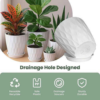 Plastic Plant Pots with Drainage Holes and Saucers, 8/7/6/5/4 Inches Garden Plant Flower Pots for Indoor Planter, 5 Pack Nursery Planting Pot for Indoor & Outdoor House Plants (White, 8/7/6/5/4)