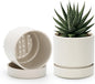 Phoenix Vine 4 Inch Planter Pot with Drainage Hole & Saucer, Deep Water Catch Tray, Straight Cylindrical Round Pot for Plants, Oatmeal, Pack of 2, 23-E-R-2