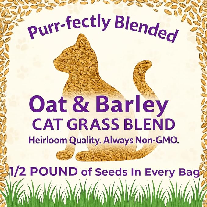 NatureZ Edge Premium Cat Grass Seeds for Indoor Cats, Non GMO - 1/2 lb Oat & Barley Grass for Indoor Cats, Cat Plant, Kitty Lawn, Pet Grass, Hierba para Gatos, Made in USA