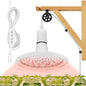 Hanging Grow Light with Wood Wall Mount Bracket, 30W Full Spectrum Plant Light with Pulley, Timer and 16.4FT Power Cord, Ideal for Indoor Growing and Flowers